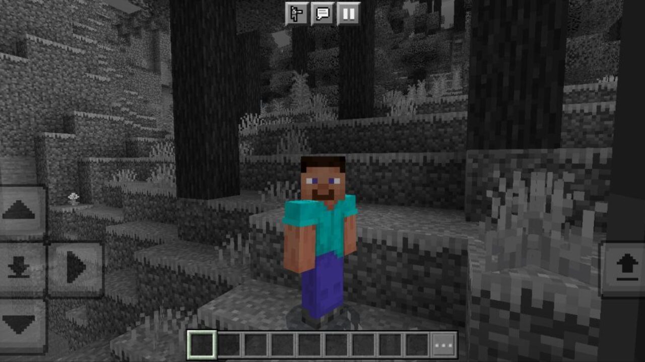 Monochrome Texture Pack for Minecraft PE