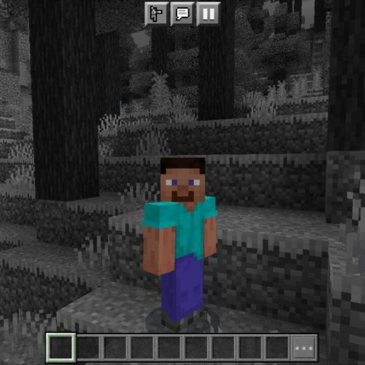 Monochrome Texture Pack for Minecraft PE