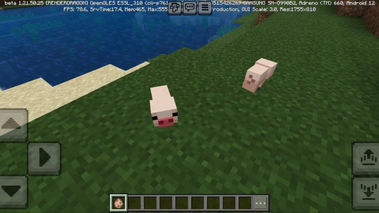 Pigs from Teacup Pig Mod for Minecraft PE