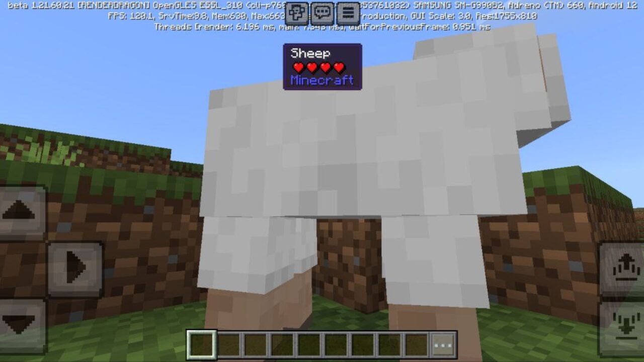 Sheep from What Can I See Mod for Minecraft PE