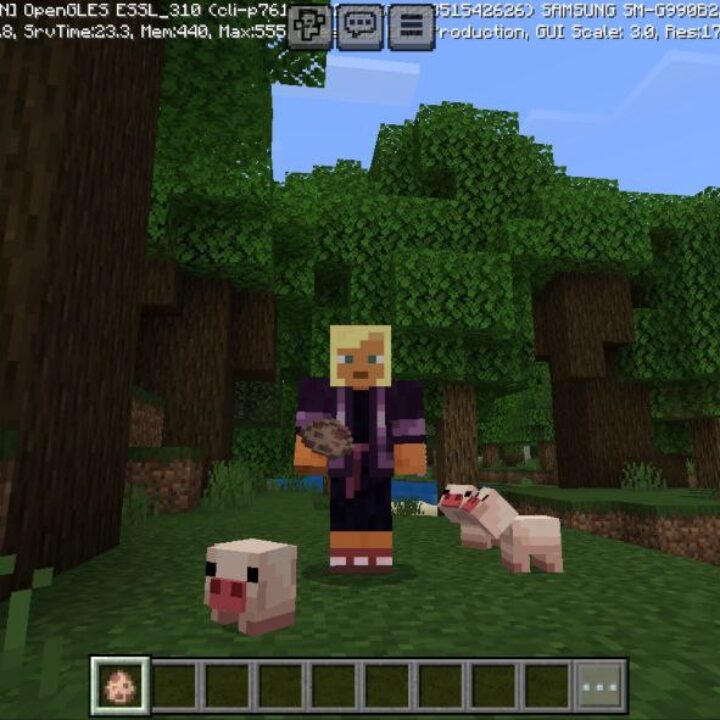 Teacup Pig Mod for Minecraft PE