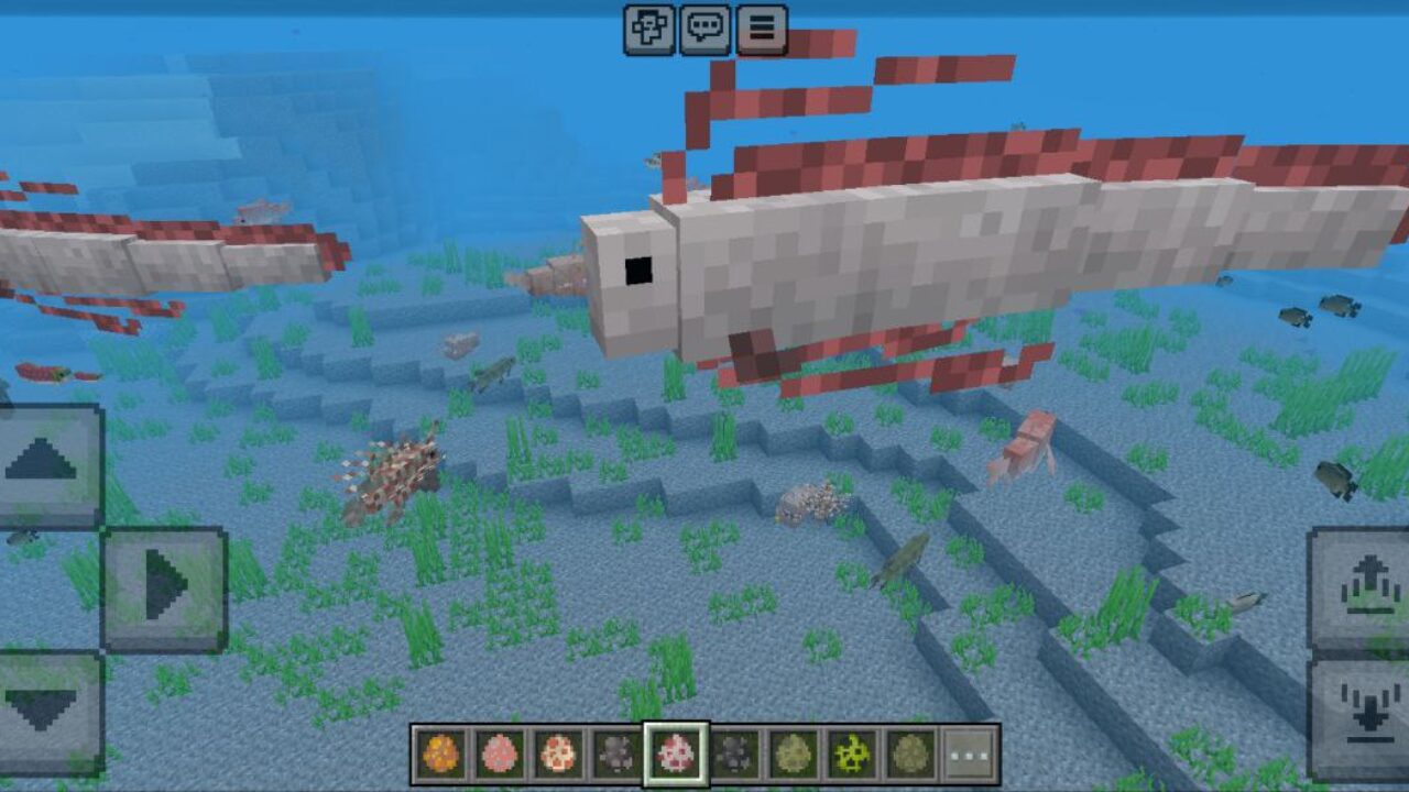 Underwater from Tacos Fish Mod for Minecraft PE