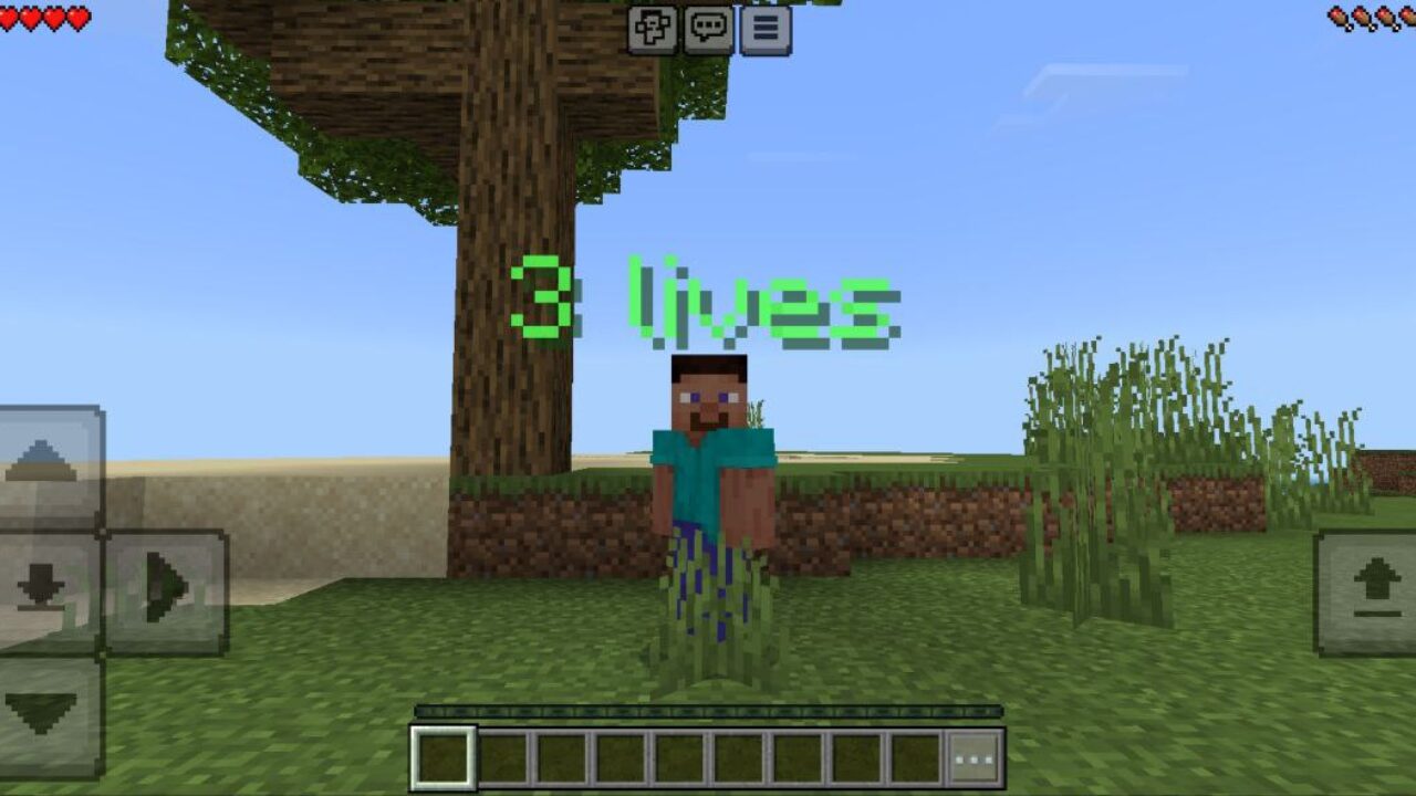 Use from Last Life Mod for Minecraft PE