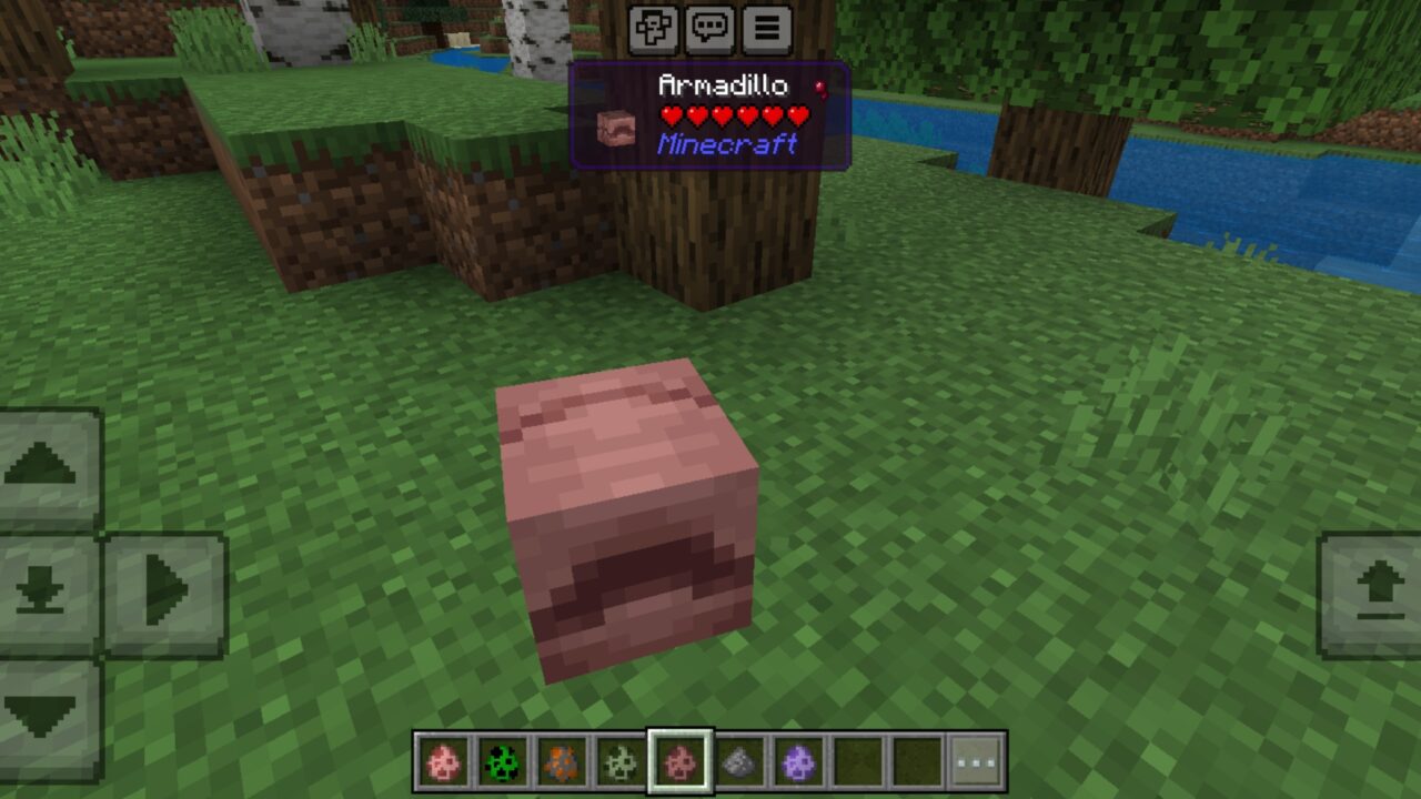 Armadillo from Chaos Mod for Minecraft PE